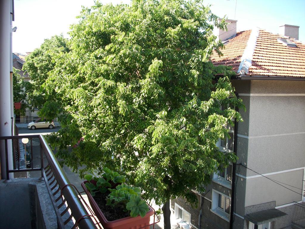 Georgievi Guest House Pomorie Exterior photo
